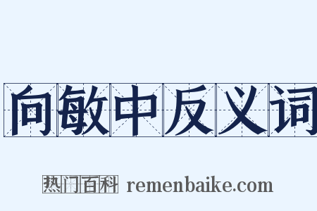 向敏中反义词是什么意思的图片